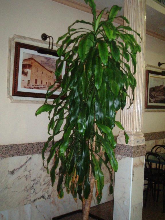 Hotel Los Hermanos Ocana  Bagian luar foto